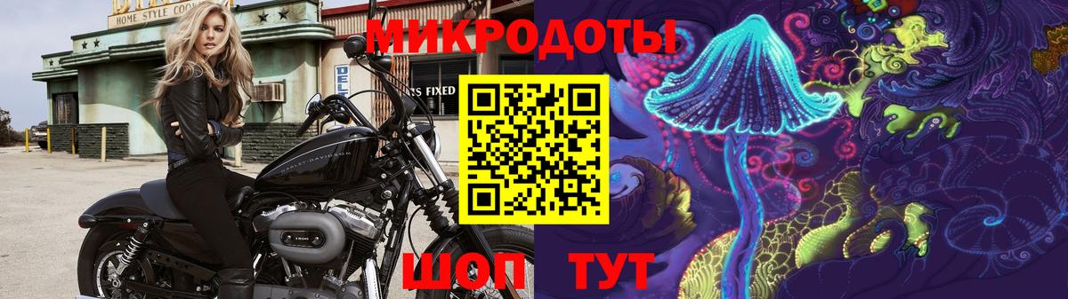 Псилоцибиновые грибы Psilocybine cubensis Чехов